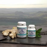 Dorwest Digestive Supplement Tablets:100