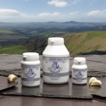 Dorwest Garlic Tablets:500