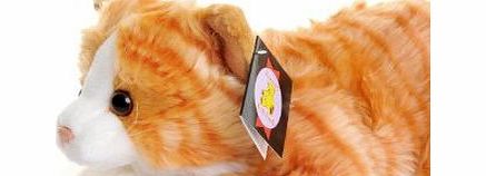 Dowman Soft Touch. Dowman Ginger Tabby Cat Cuddly Soft Toy