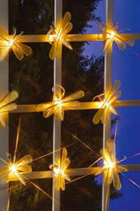 Dragon Fly Lights