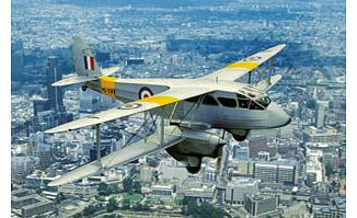 Dragon Rapide Flight over London