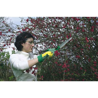 210Mm Folding Pruning Saw