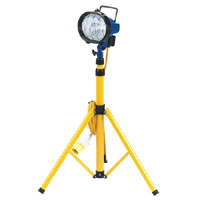 Draper 500W Halogen Lamp On Telescopic Stand 110V