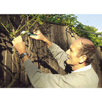 Draper Gardeners Pruning Knife