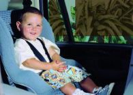 Dreambaby  BabyProofing Dreambaby Car Sunscreen Film