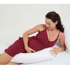 Dreamgenii Support Pillow
