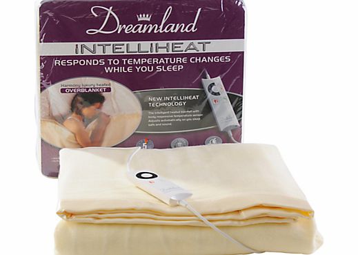 6969 Intelliheat Single Electric