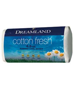 Dreamland Egyptian Cotton Topper Double Bed