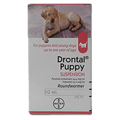 drontal Puppy Suspension 50 ml