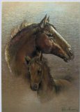 Dufex postcard, picture print, topper - Horse and foal