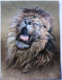 Dufex Craft Products Large Dufex picture print, topper - Lion Roaring