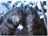 Large Dufex picture print, topper - Winter Wolves