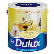 Dulux Matt Lemon Tropics 2.5L