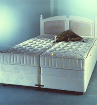 Royal Sovereign Divan Set