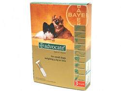 Dunlops General Advocate Small Dog (