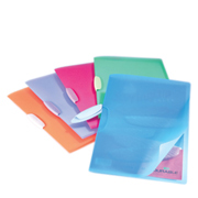 Durable A4 Swing Clip Colour File