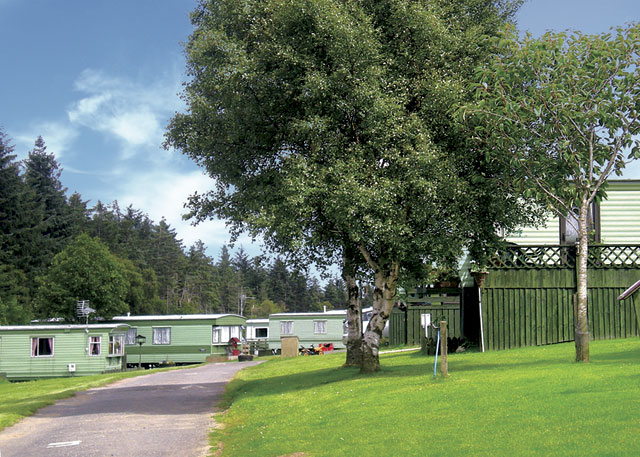 Durham Lodge Holiday Park