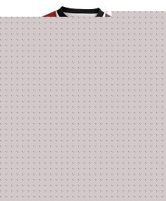 Dutch teams Nike 2011-12 PSV Eindhoven Home Nike Football Shirt