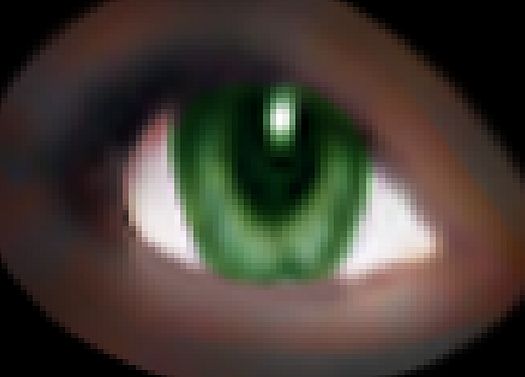 Dynamo Minibar Spy Tool Kit Free