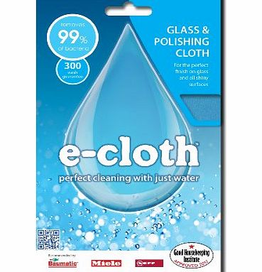 E-Cloth  Glass and Polishing Cloth