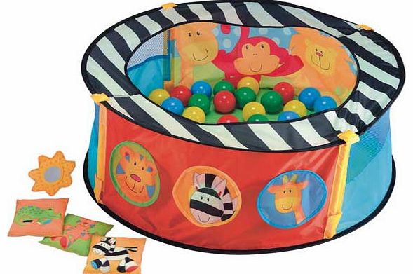 Early Learning Centre Ball Pit