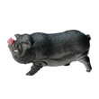 Early Learning Centre POT BELLIED PIG