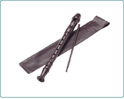 Early Learning Centre School Recorder