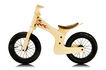 Early Rider Lite 2009 Kids Bike