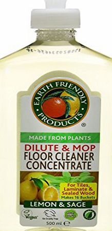 Earth Friendly Dilute and Mop Floor Cleaner