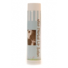 Earth Mama Angel Baby Earth Mama Mint Herbal Lip Balm