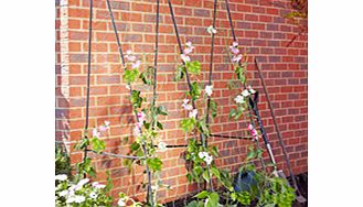 Easy Flower Grow Frame - 2.4 x 1.2m