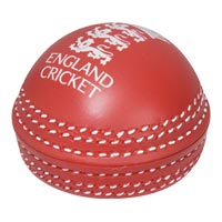 ECB Cricket Ball Magnet.