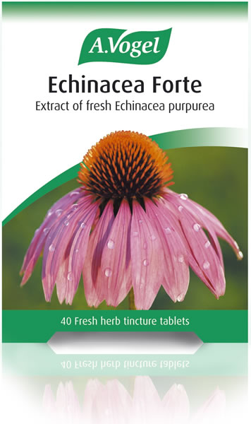 Echinacea Forte Tincture Tablets 40x