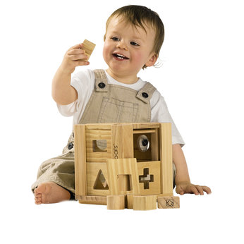 EcoPals Shape Sorter House