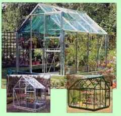 Eden Acorn 6x4 Greenhouse