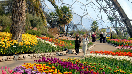 Eden Project Tickets with Lunch for Two