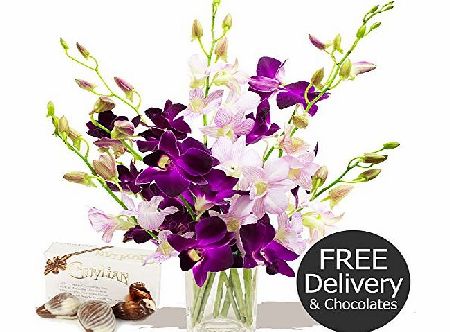 Eden4flowers.co.uk FREE DELIVERY Flowers amp; Bouquets - Tokyo Orchids by Post amp; Chocolates