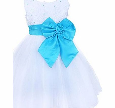 EFE Flower Girls Big Bow Princess Dress Kids Wedding Bridesmaid Party Tutu Dresses Blue Bowknot 3-4 Years