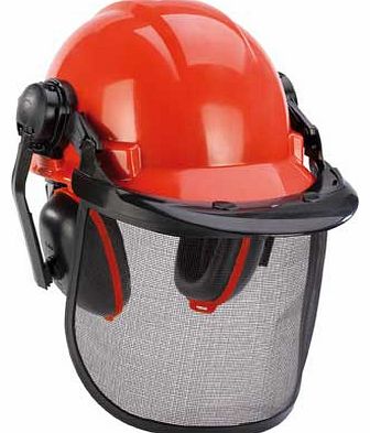 Einhell BG SH1 Forestry Helmet
