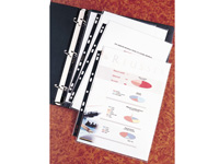 Elba A4 120 micron glass clear plastic punched