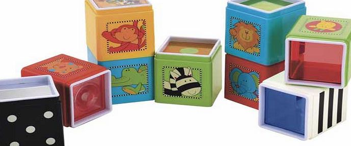 ELC Jungle Wonder Cube