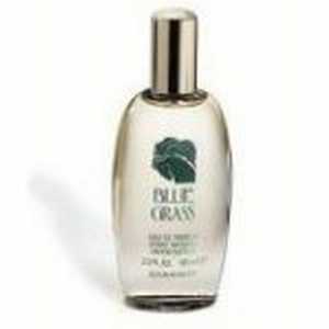 Elizabeth Arden Blue Grass For Women (un-used