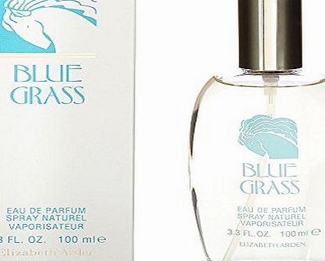 Elizabeth Arden Grass Eau de Parfum - 100 ml, Blue