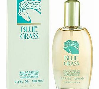 Elizabeth Arden Grass Eau de Parfum - Blue, 100 ml