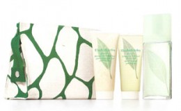 Elizabeth Arden Green Tea Scent Spray Set 100ml