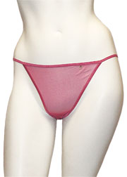 X-Sheer hipster brief