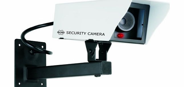 Byron - CS11D Dummy CCTV Camera Unit