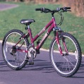 wisp girls cycle