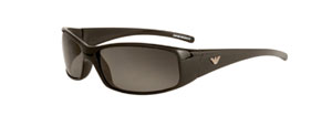 Emporio Armani 9031 sunglasses