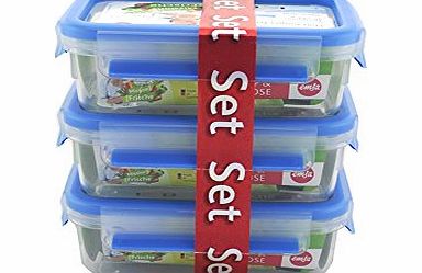 Emsa Healthy Freshness (``Gesunde Frische``) 3-Piece Clip amp; Close Food Container Set 3 x 1 L